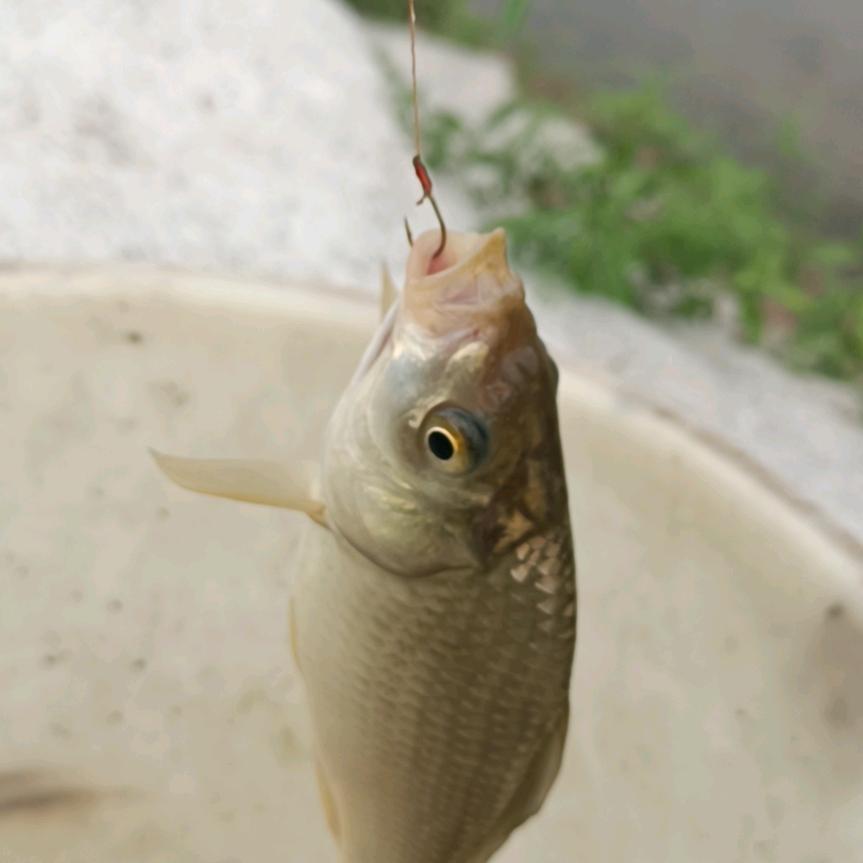波浪