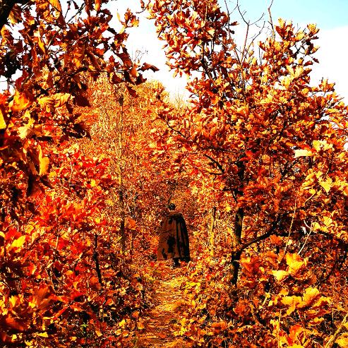 南山空同讲神话@抖音