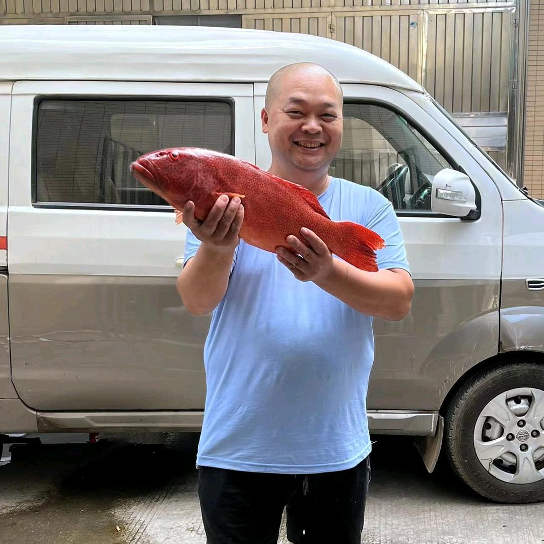 胖子海鲜批发
