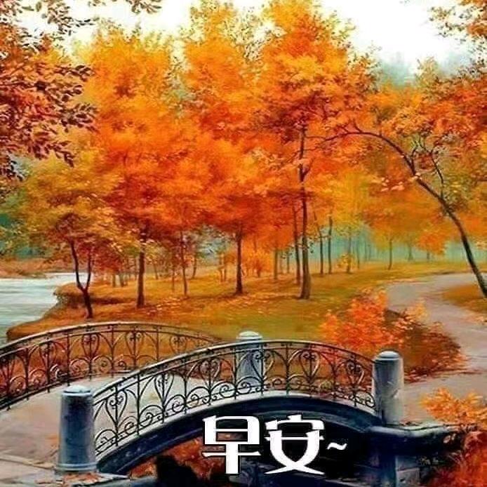 🌻夕阳看天下🌻