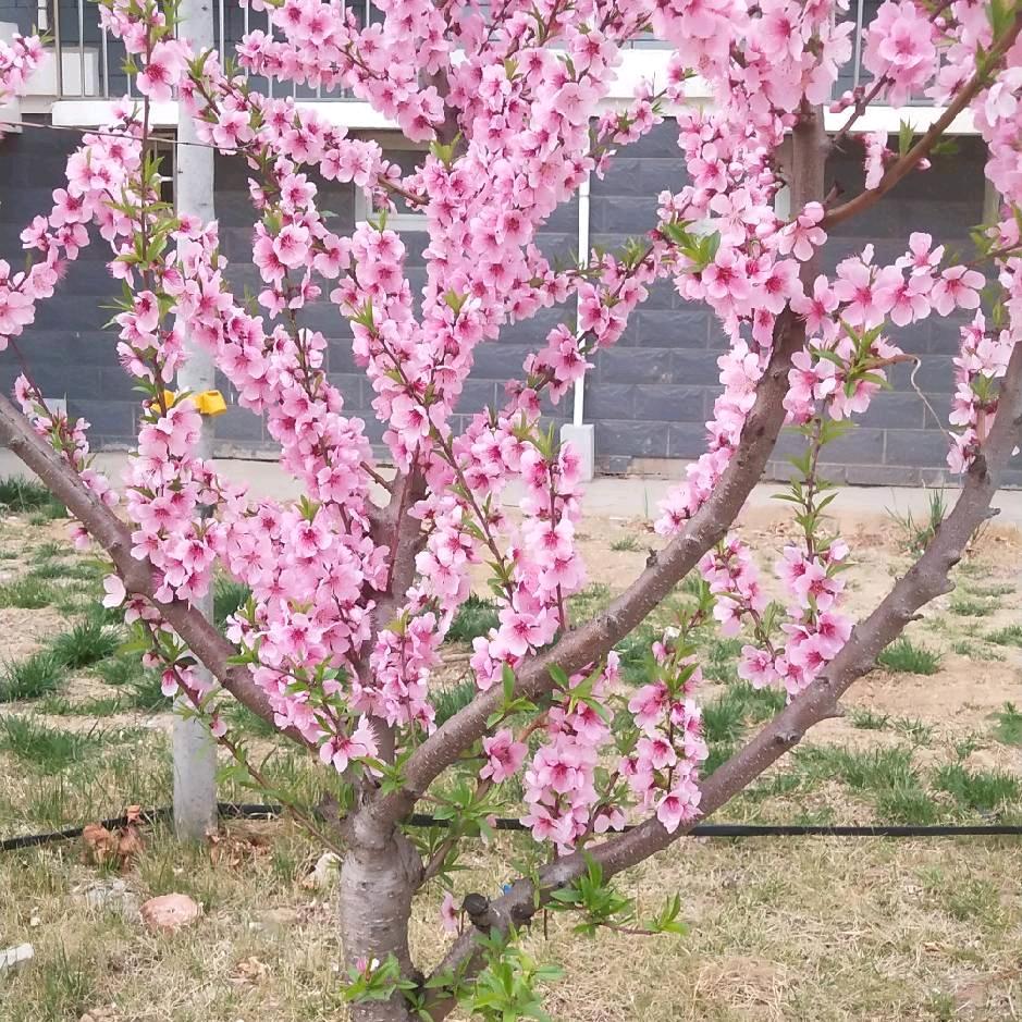 用户8995560302211