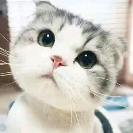 ꧁༺๑干不愣炒肉๑༻꧂