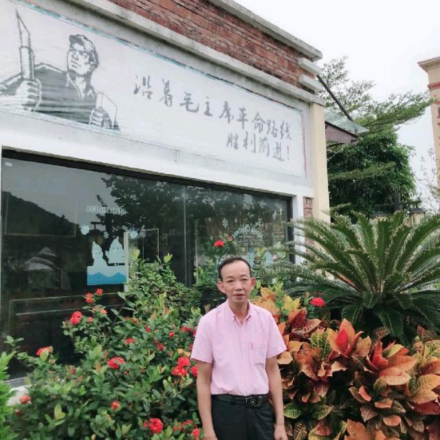 杨雁辉