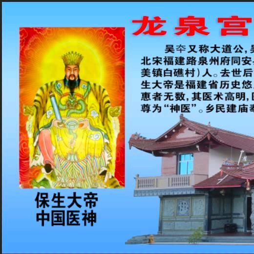 森林雄鹰
