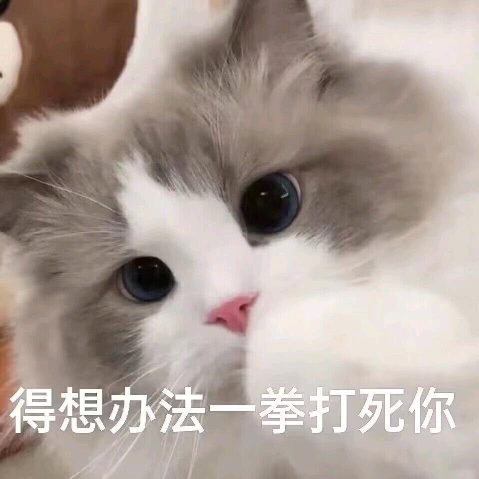 Xi1