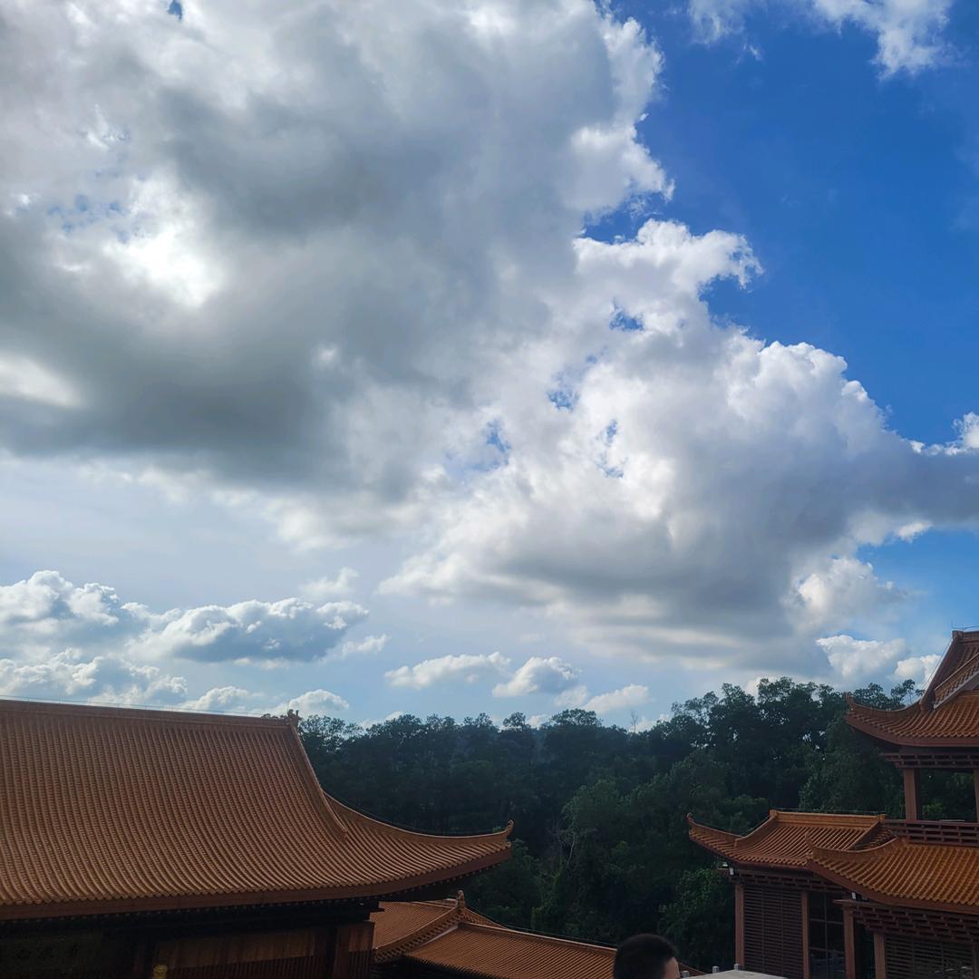 🦈鲨鱼辣椒🌶️