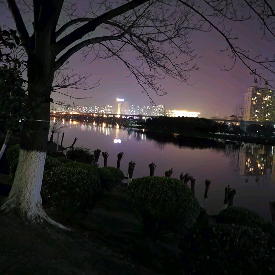 非洲人里我最白