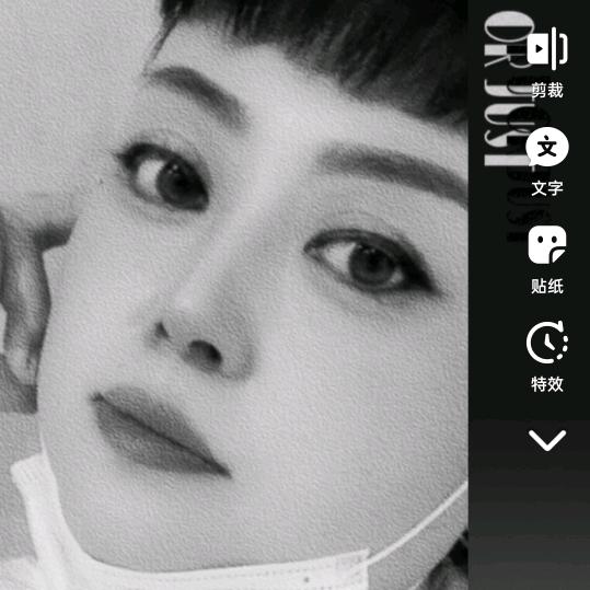 红梅5345909219140