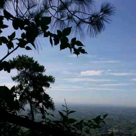 泸州到贵州毕节网约车平台