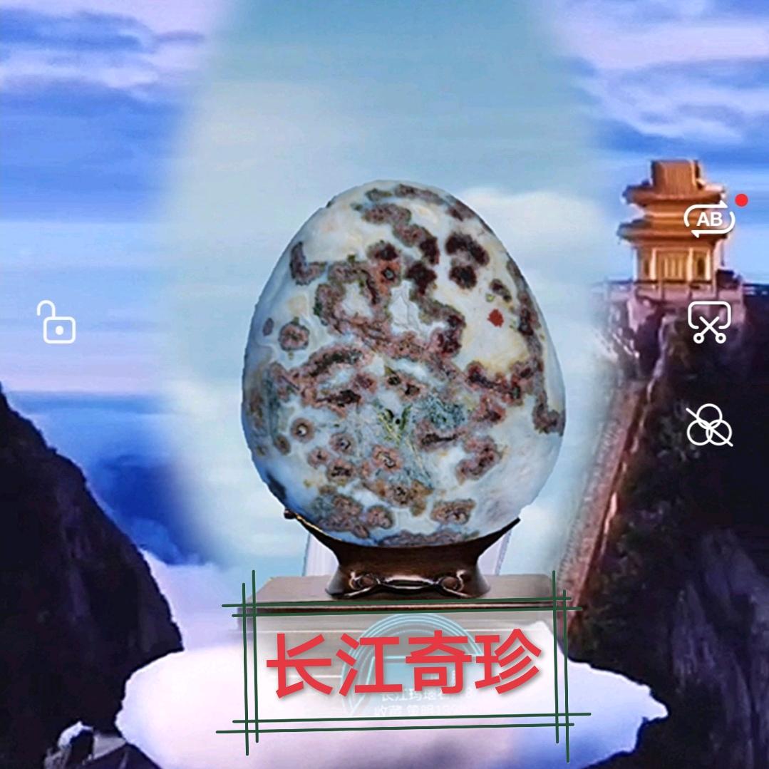 长江奇珍