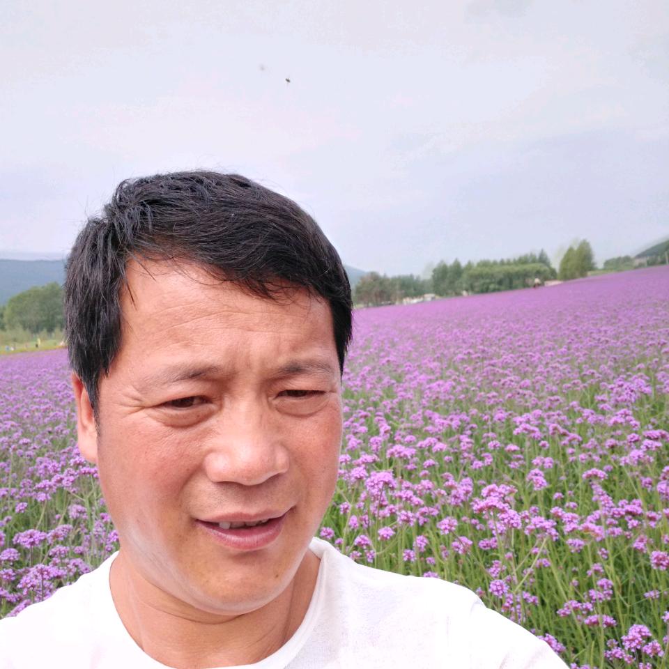 用户，海哥