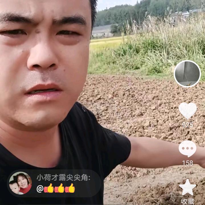 龙马精神