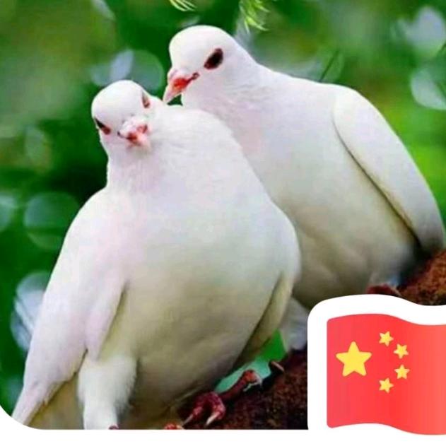 幸福有你