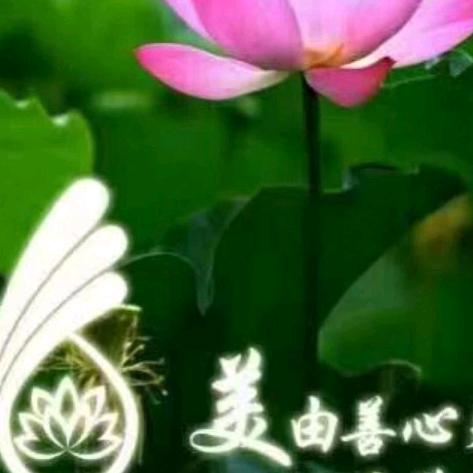 追梦人阿平