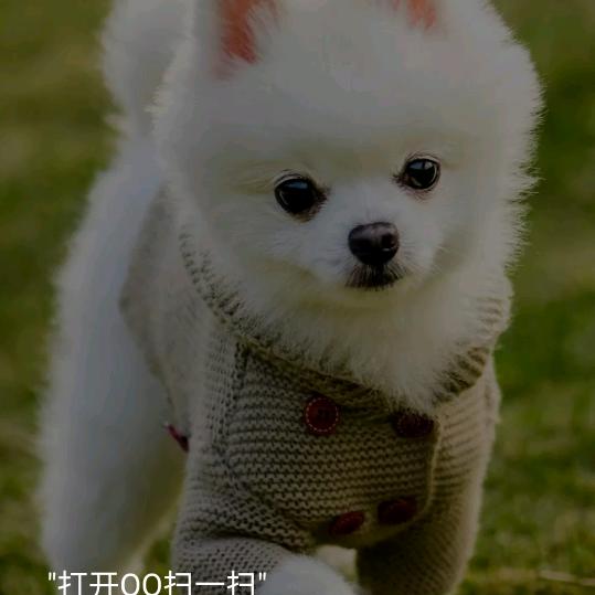 一盏明灯