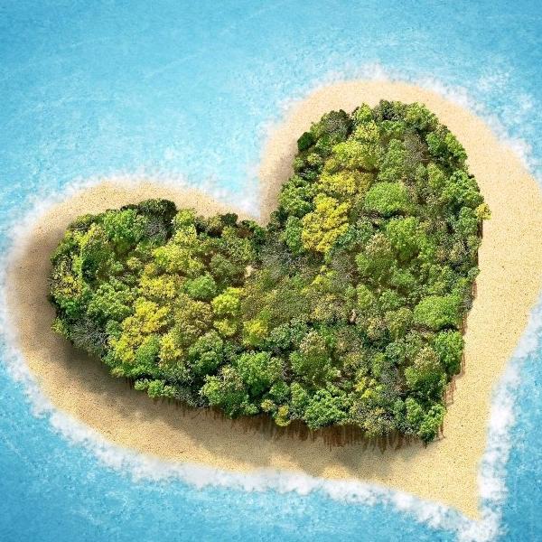 扬州中仁人力资源管理有限公司