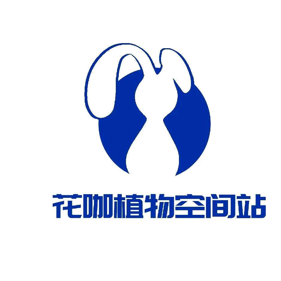 威县花咖植物空间鲜花店