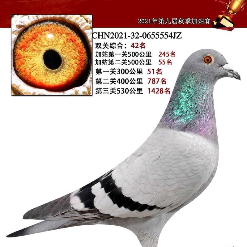 用户3534276994667