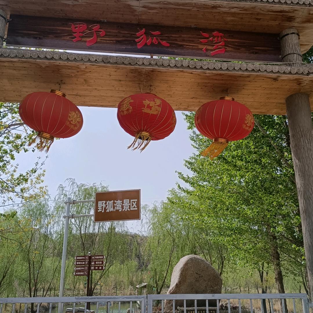 玲儿野狐湾