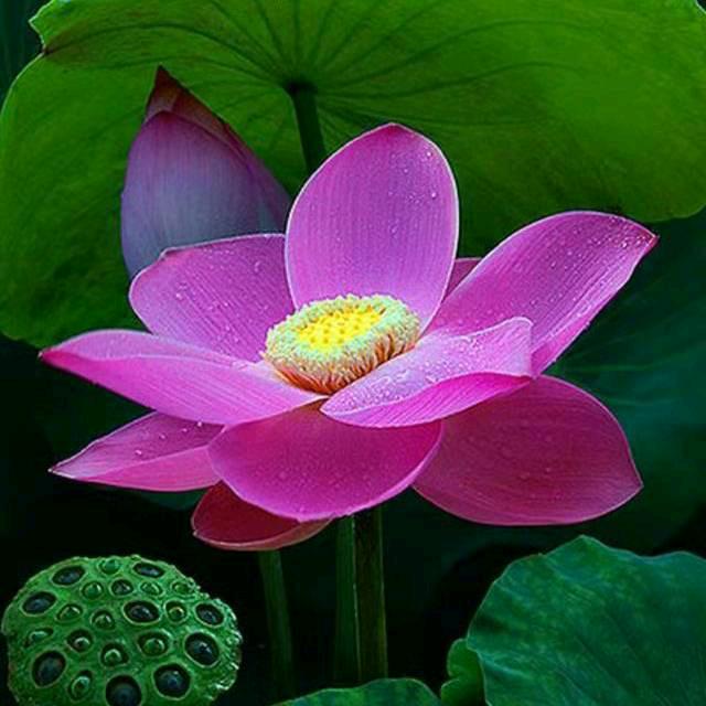 春雨秋收