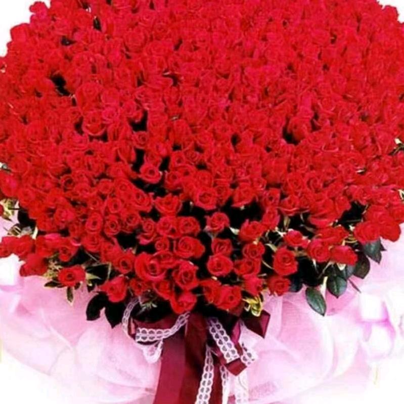 @玫瑰情缘🌹