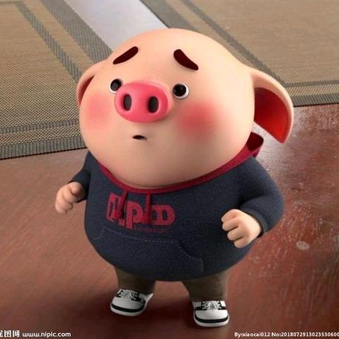 小🐷