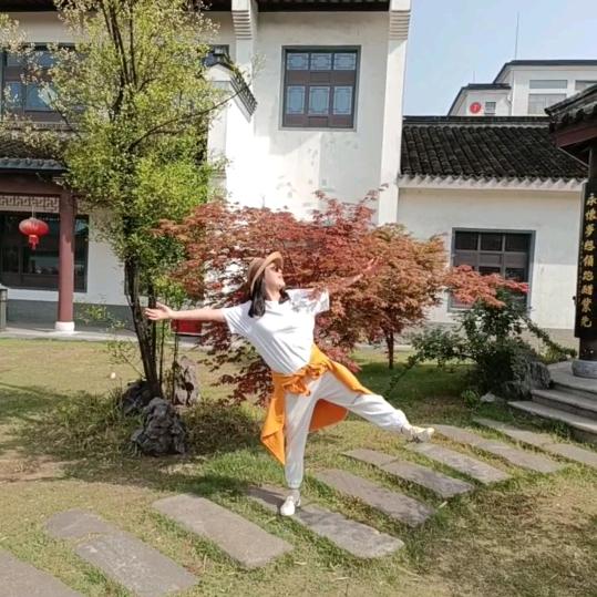 sun hang