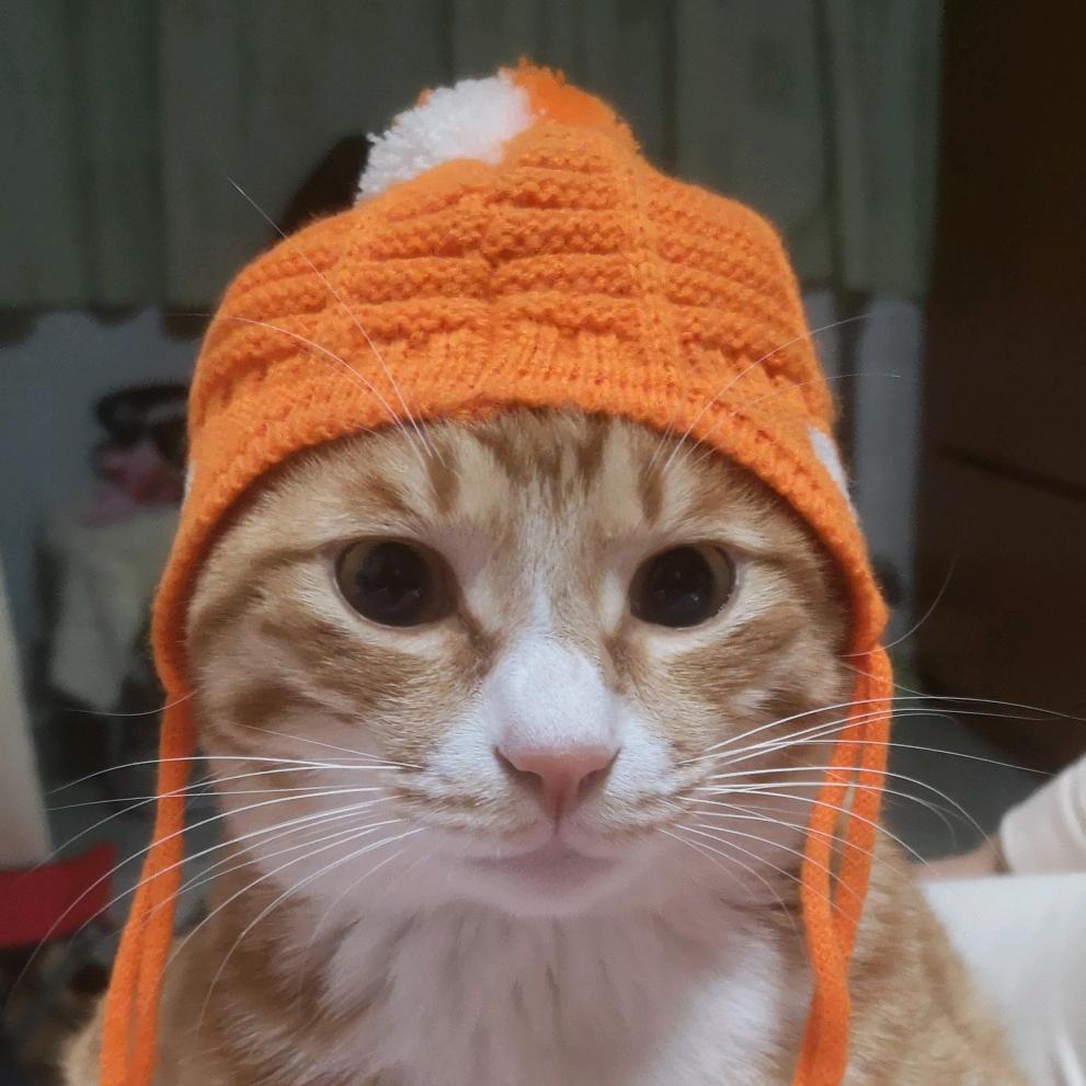 🌈我是崽崽呀🌈