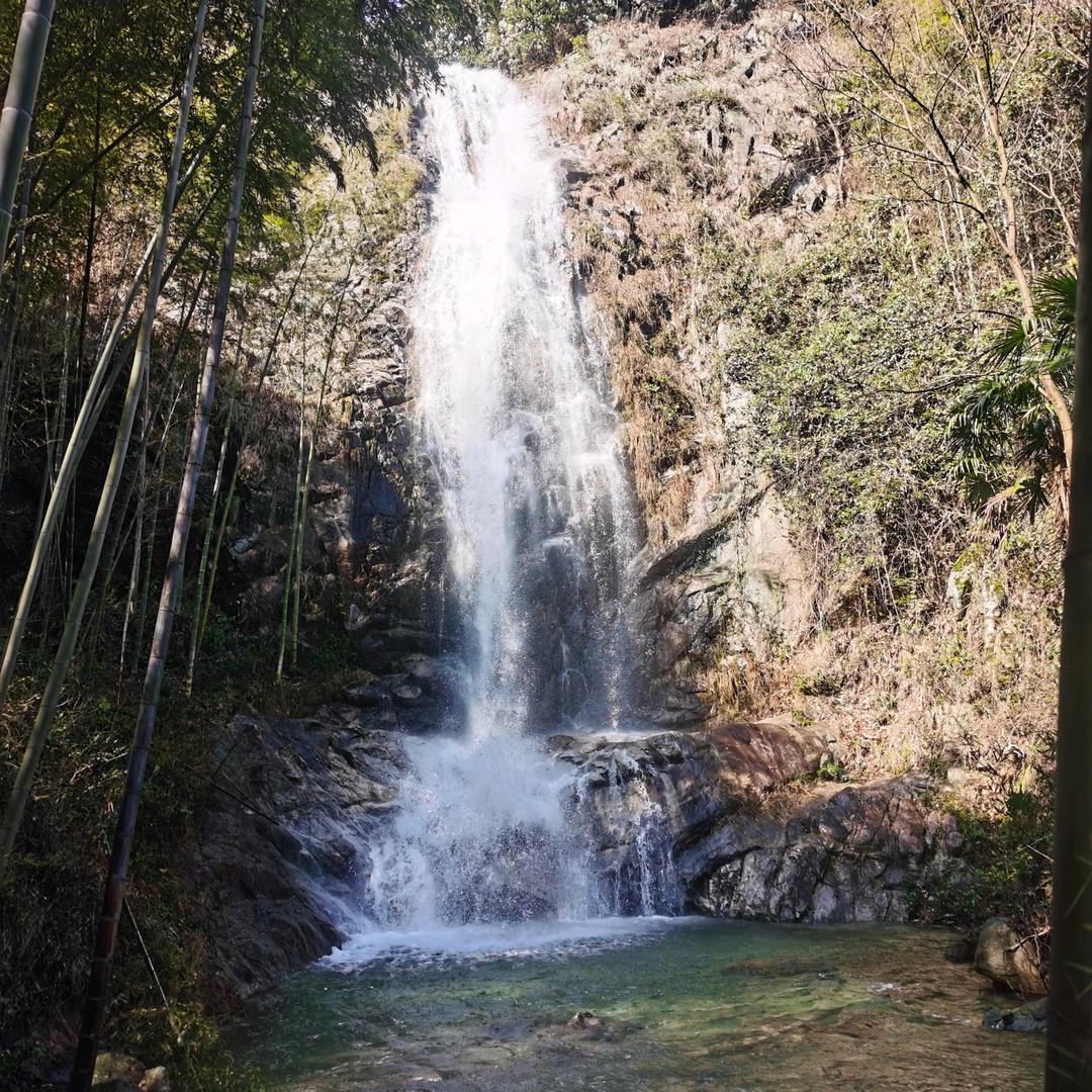 随风飘散