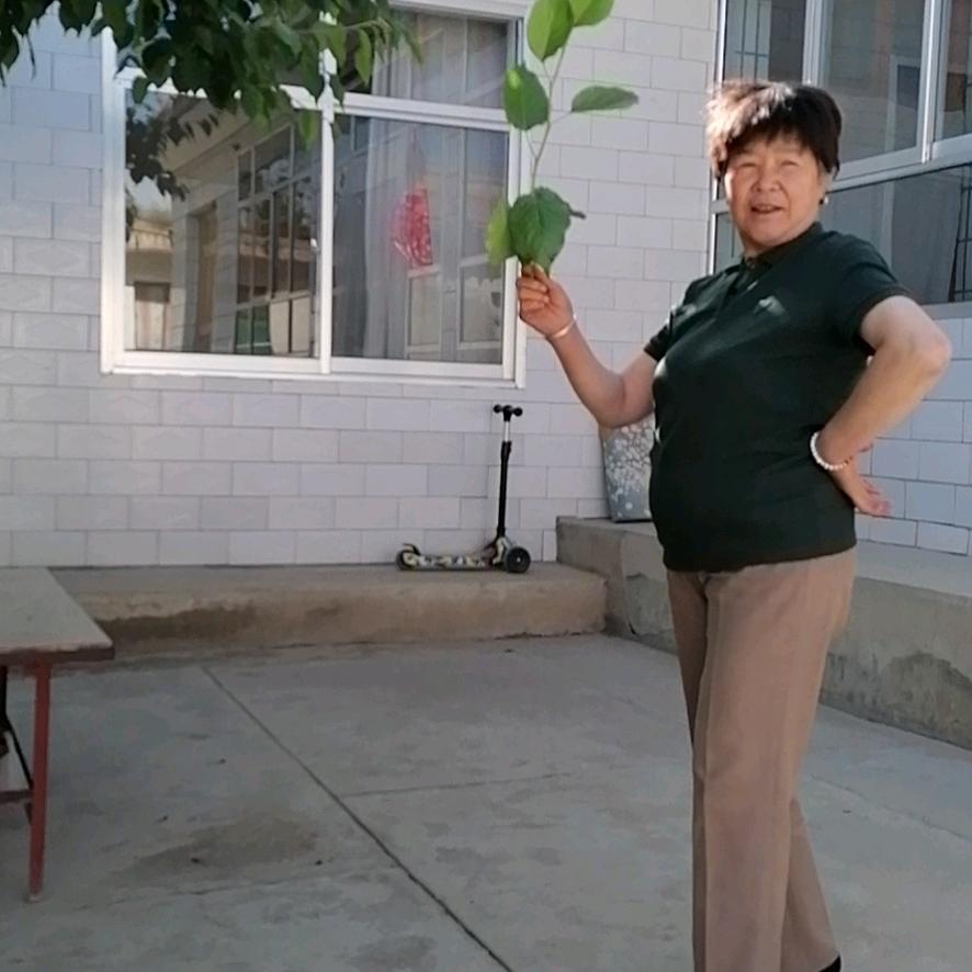 芦秀花
