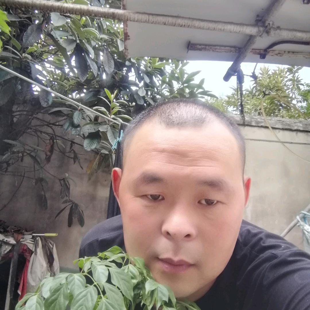 小利布头