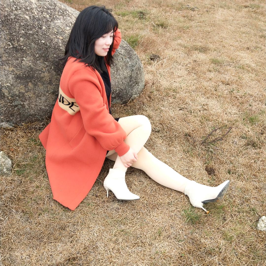 农村的燕子