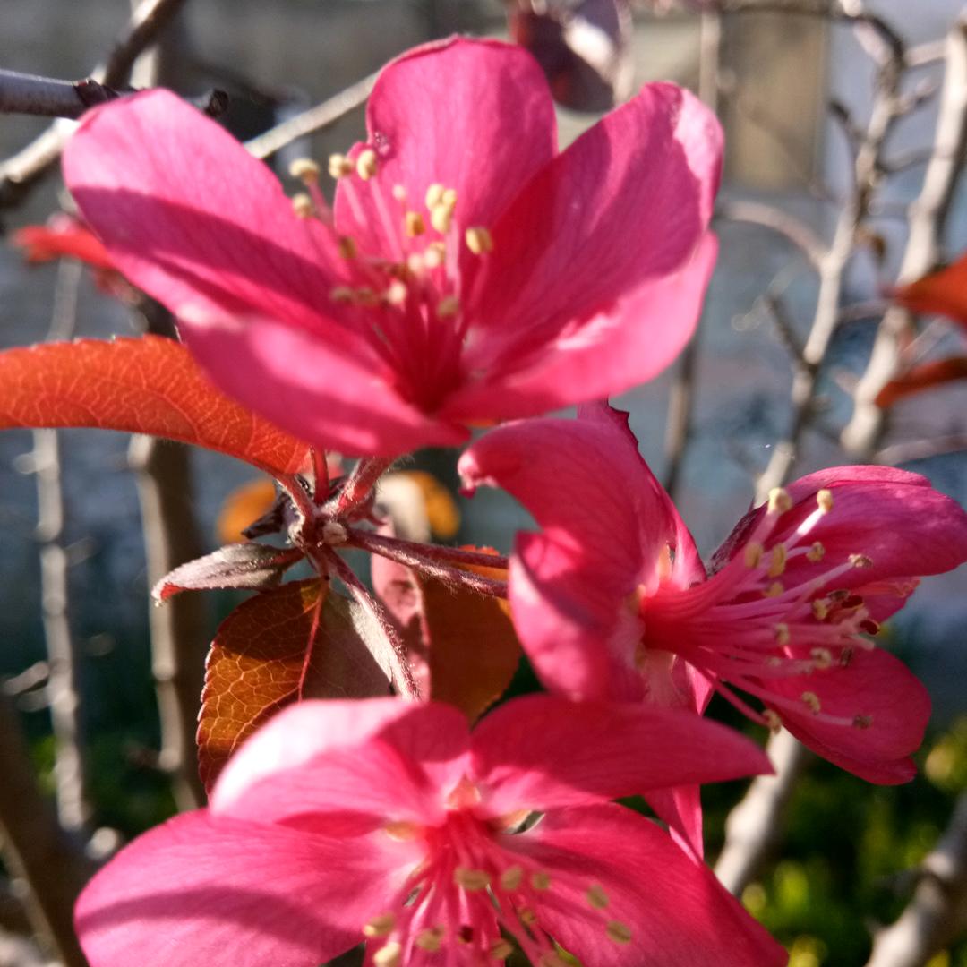 一生平安^ω^％&