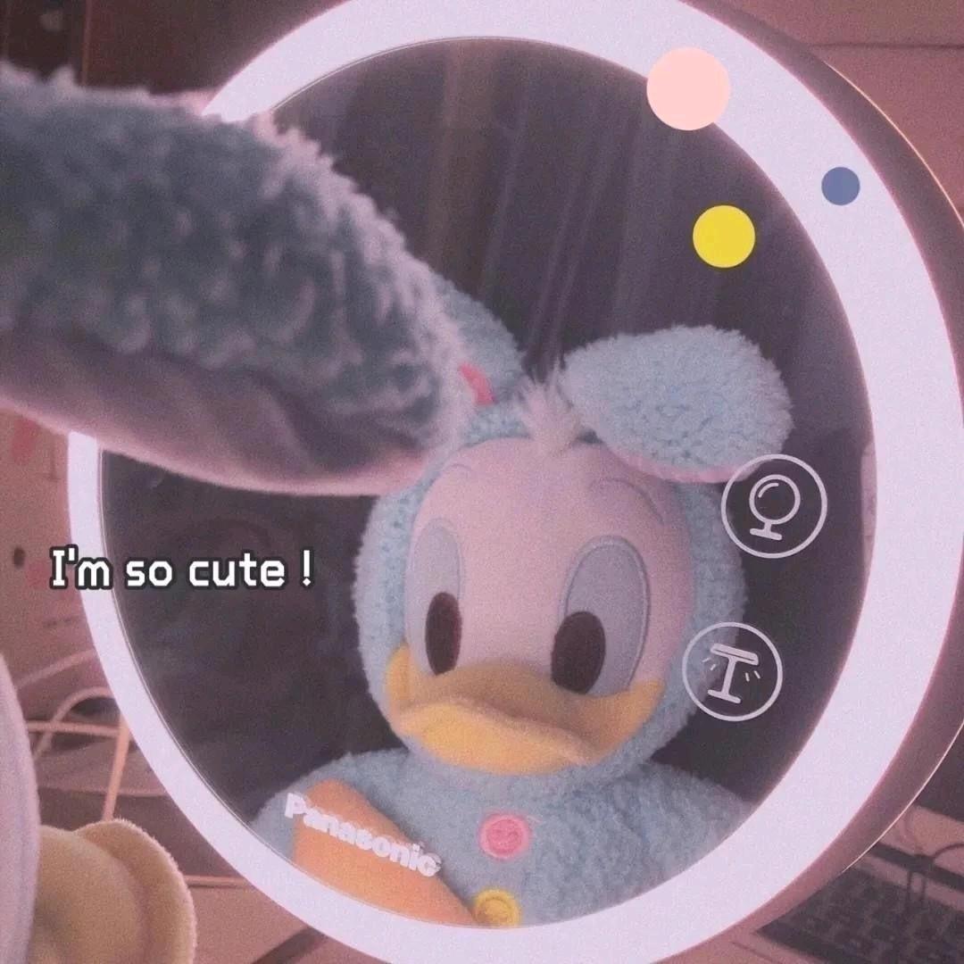 🌈旦复旦兮