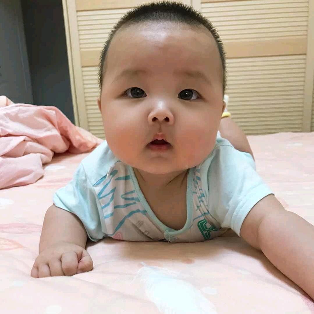 莎莎