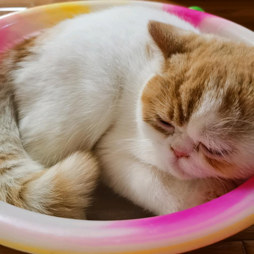 天青色