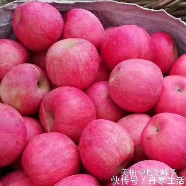 苦尽甘来