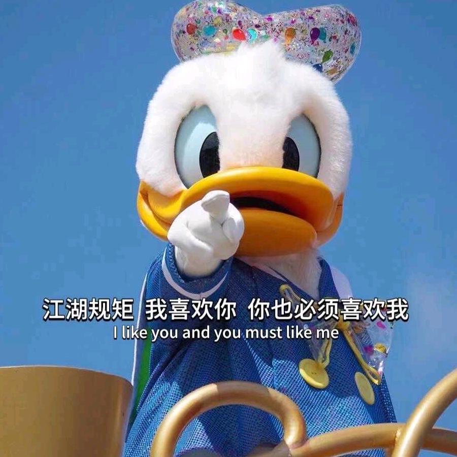 闪闪✨