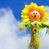 伍晓红城市海洋