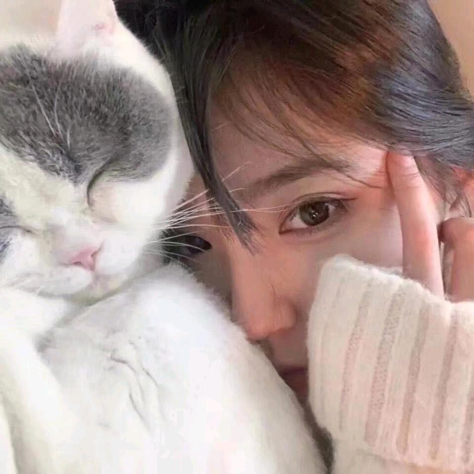 慕情.