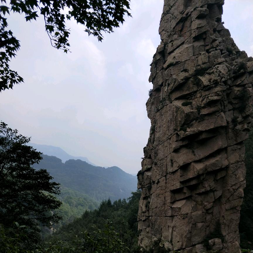 简单的快乐