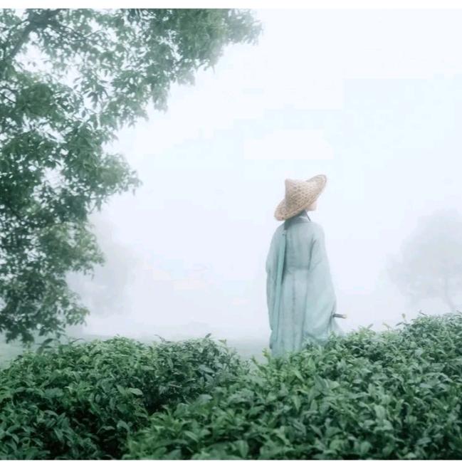 云飞
