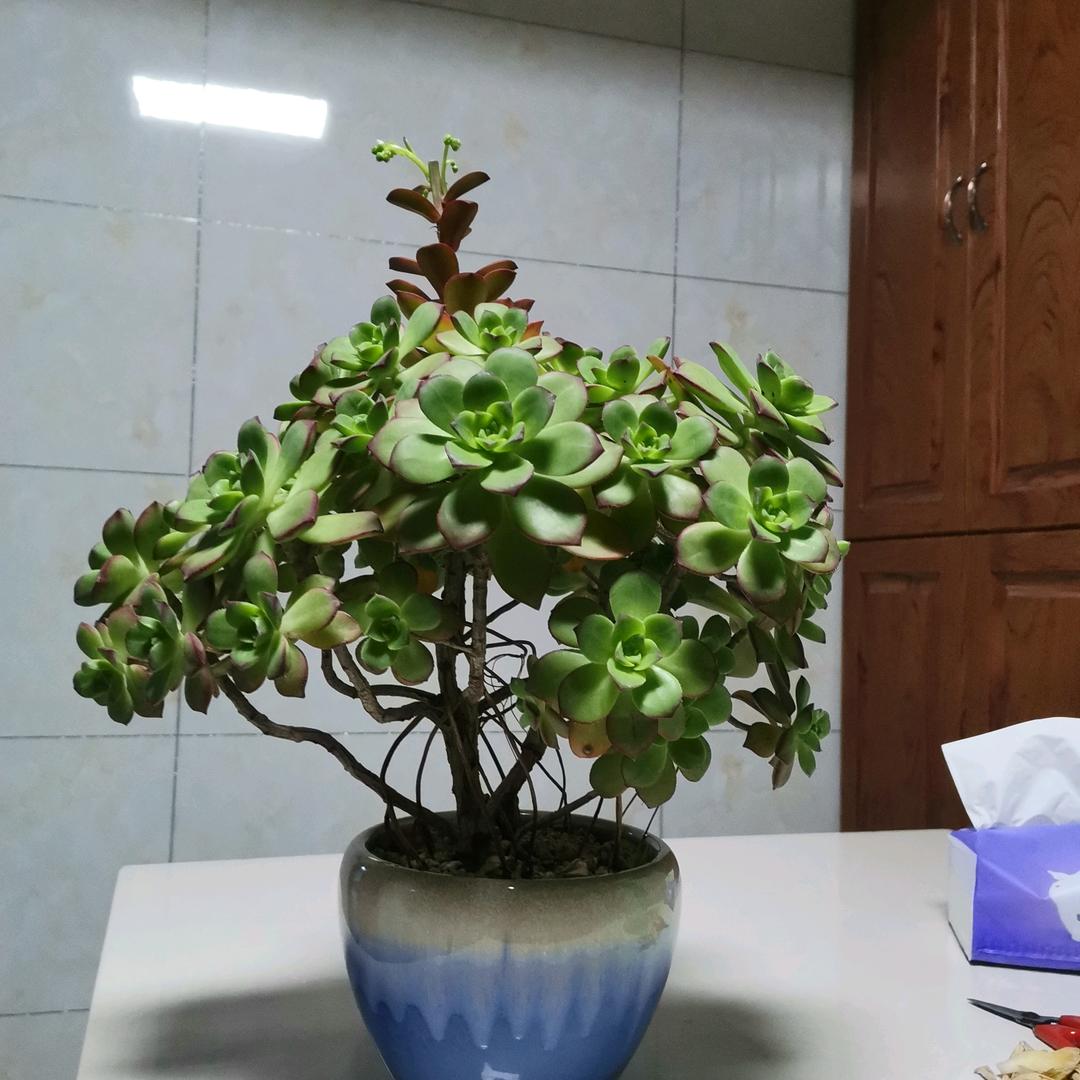 相遇是缘