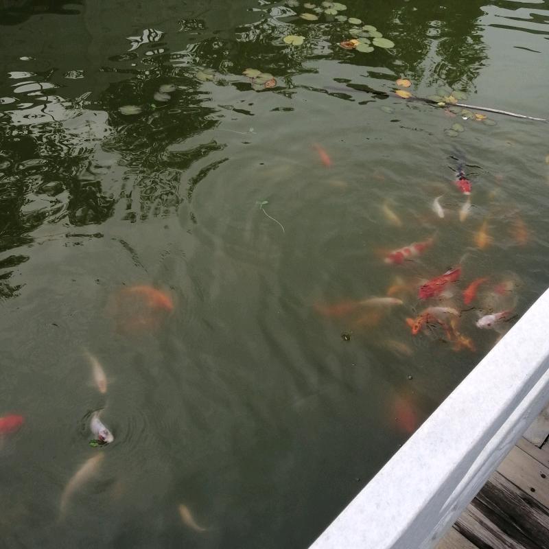 春江潮水连海平