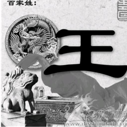 自由飞翔