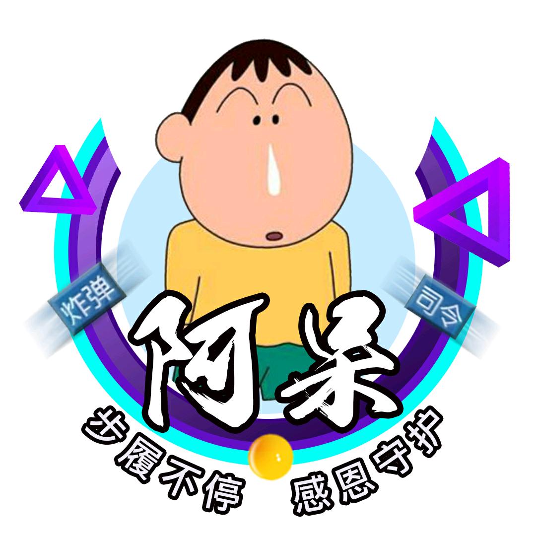 阿呆军棋解说