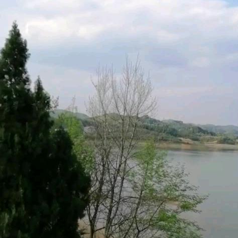 向阳批发部