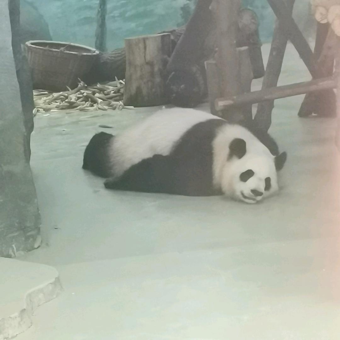 事了拂衣去，深藏身与名