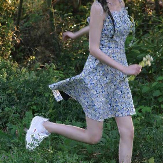 小鱼不爱吃香菜