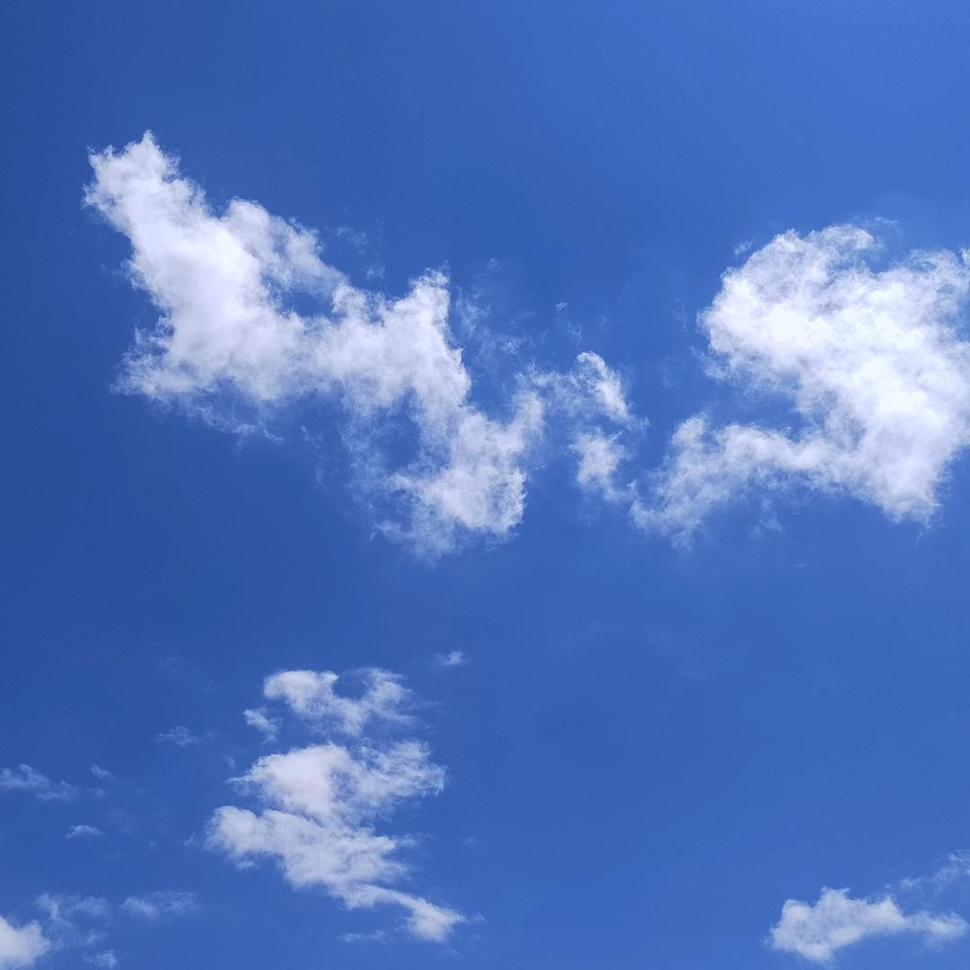 飞毛腿